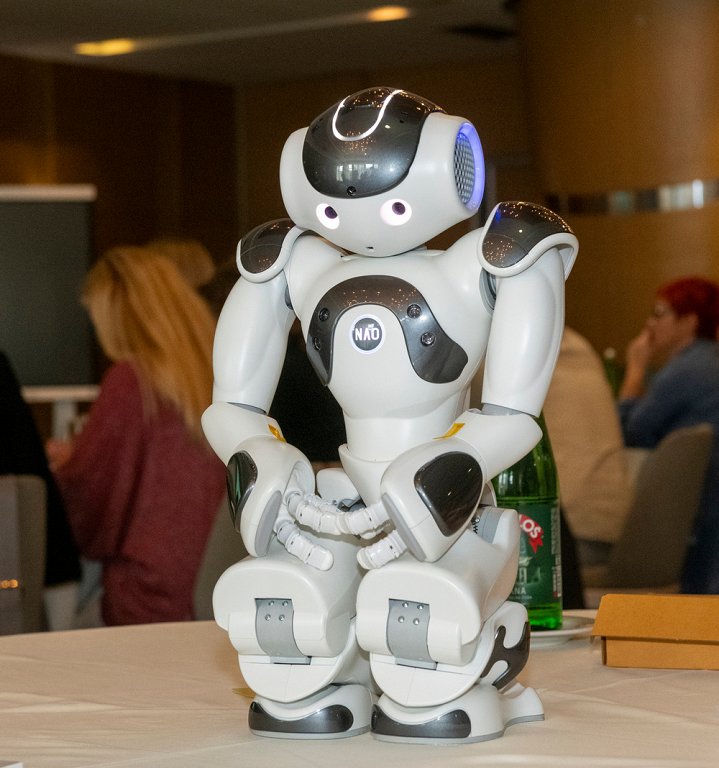 Šest resursnih centara u Srbiji dobija asistivnu tehnologiju u vidu humanoidnog robota